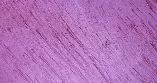 Glitter Texture Background Shiny Fluid Pink Noise