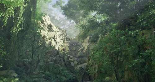 Lush Green Forest Landscape with Rocky Terrain and Misty Atmosphere in Sunlight