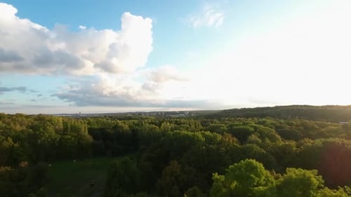 Vol cinématographique au-dessus d'un magnifique paysage forestier et de la mer Baltique en arrière-plan pendant les rayons du soleil couchant