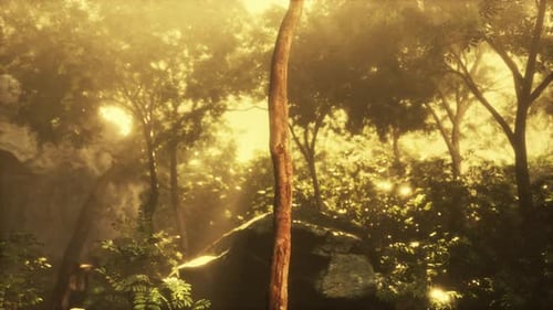 Green Forest with Ray of Light