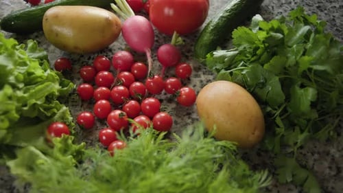 Fresh Organic Vegetables From the Farm on the Kitchen Table Ingredients for Cooking Delicious