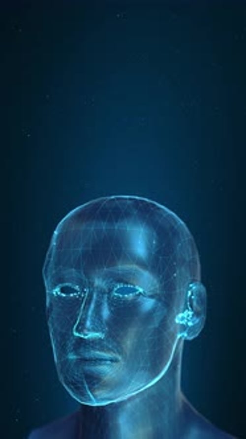 Futuristic Digital Human Head Wireframe Rotating Loop