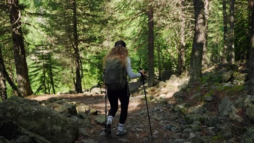 Woman Hiking in Mountains Walking in Forest Path with a Backpack Female Hiker on Summer Trekking