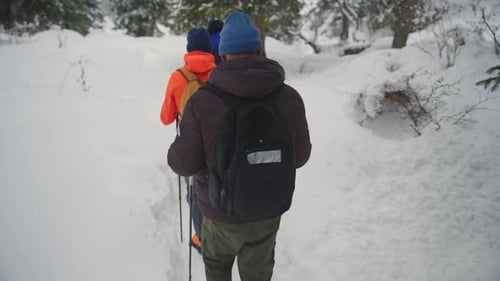 Group of hikers walking in snowy forest