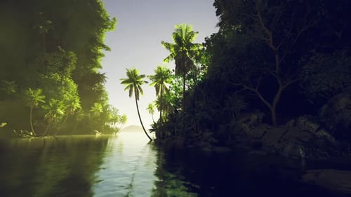 Secluded Rainforest with Rocks Lush Inlet Surrounded By Mossy Boulders