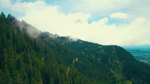 Top View of Mountains with Green Forests 4K