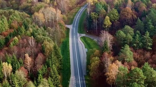 Aerial Shot of Empty Road In Colorful Autumn Forest. Scenic Country Road in Autumn Forest.