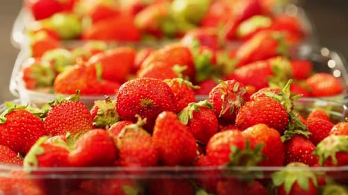 Packed Fresh Strawberries Lie in Boxes on Supermarket Shelves