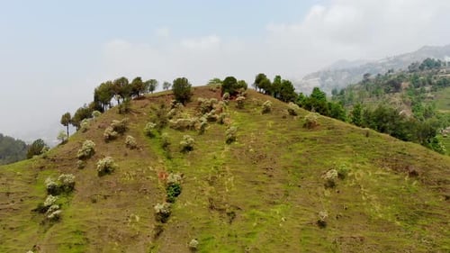 Backward lowering drone view of a green hill with lush grass and trees