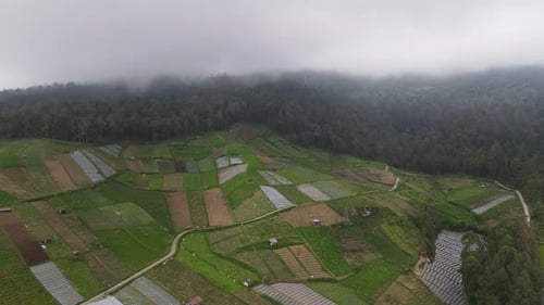 Rainy weather in mountains. Misty fog blowing over pine tree forest. Aerial footage of spruce forest