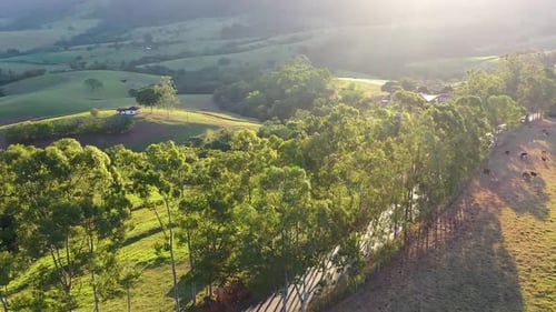 Panorama der ländlichen Landschaft. Luftbild der Landschaft auf dem Land. Feld für Plantagenlandwirtschaft. Grüner Hintergrund