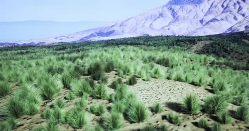Lush Grassland Habitat Under Clear Blue Skies Near Mountain Range