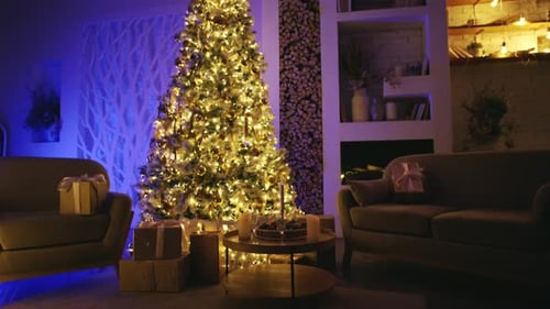 Christmas and New Year interior decoration