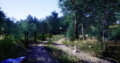 Path Through a Serene Forest Landscape with Greenery and Sunlight