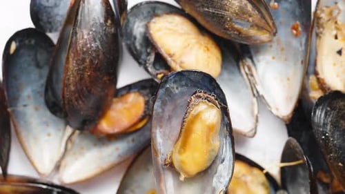Mussels close up on white background