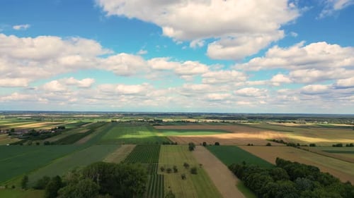 Aerial view with the landscape geometry texture of a lot of agriculture fields with different plants