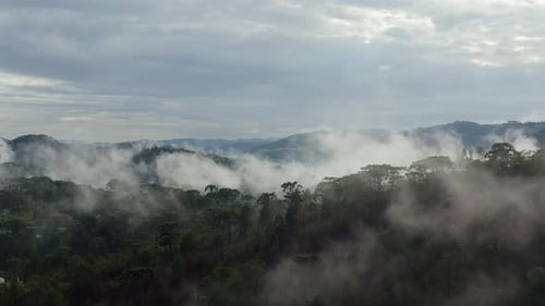 Wonderful Drone View of Cloudy Mountains in The Lush Morning of Green Hills Covered by Tropical Rain