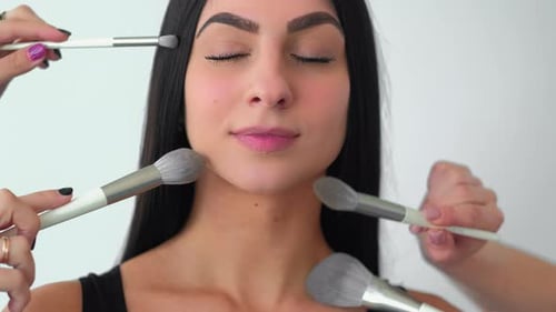 Professional Makeup Visage Model Female Face Brush