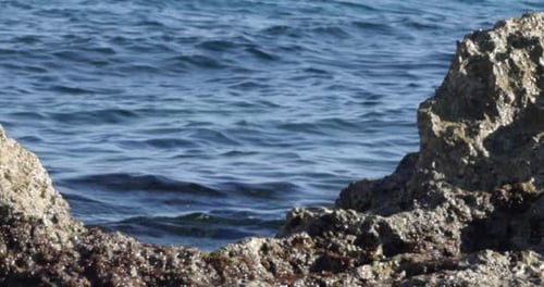 Eine Nahaufnahme fängt einen dynamischen Wasserspritzer ein, der gegen raue Küstenfelsen prallt.
Dr