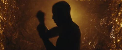 Goldener Kämpfer
