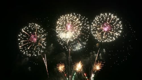 Firework