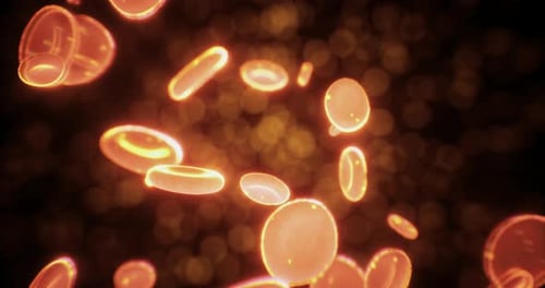 Floating Red Blood Cells Creating a Mesmerizing Dance in a Microscopic World