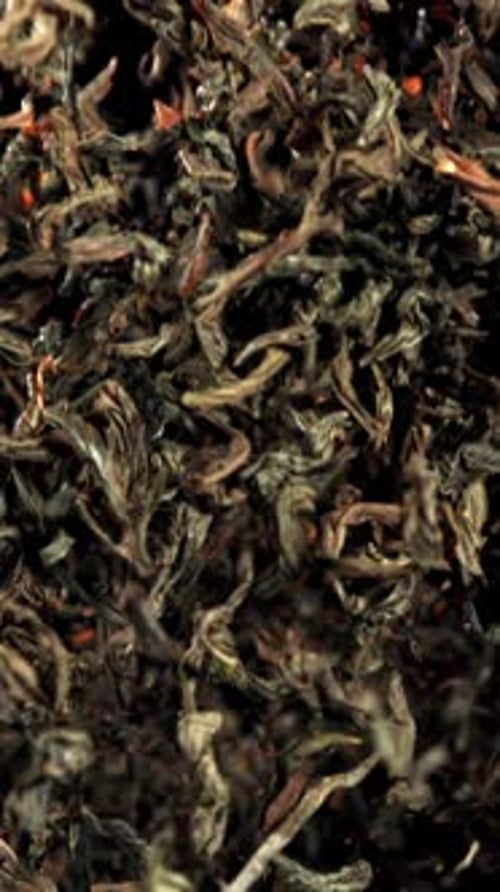 Dry Tea Flies Up and Down Filmed on a Highspeed Camera at 1000 Fps