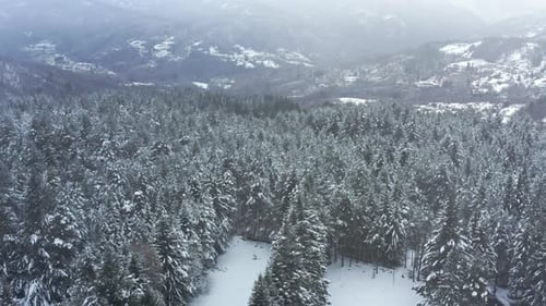 Drone view of a serene snow-covered forest surrounded by distant winter hills