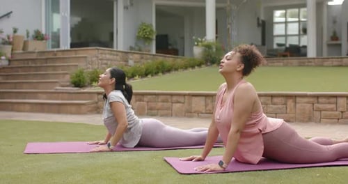 Diversas mulheres em roupas esportivas inalam, pressionam as palmas das mãos, se arqueando em forma de cobra, abrindo o peito em tapetes de jardim