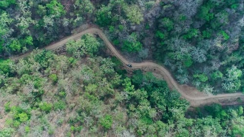 Voiture garée dans la zone forestière