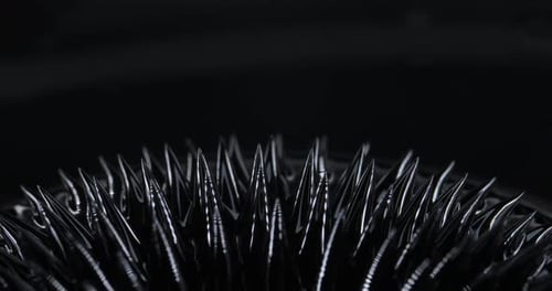 Magnetic Fluid Ferrofluid Black Liquid Surface Abstract Background