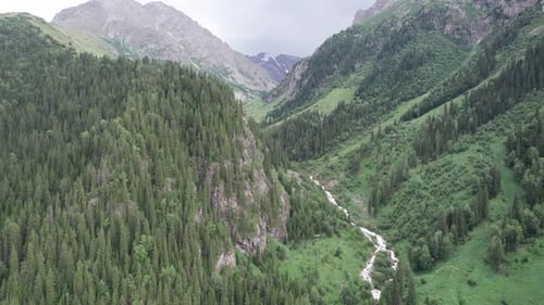 View of the River in a Green Gorge Among the Rocks