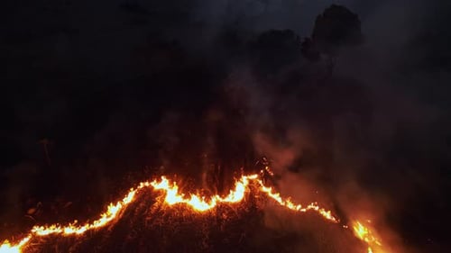 Flaming grass at nighttime in forest. Drone view of burning dry grass. Forest fire at dusk.