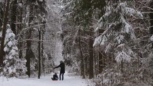 Un garçon joyeux sur un traîneau lance une boule de neige à son père lors d'une promenade hivernale amusante