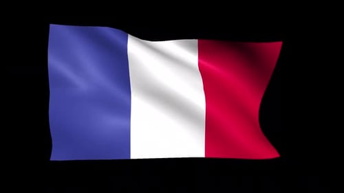Realistic French Flag Waving in Smooth Animation