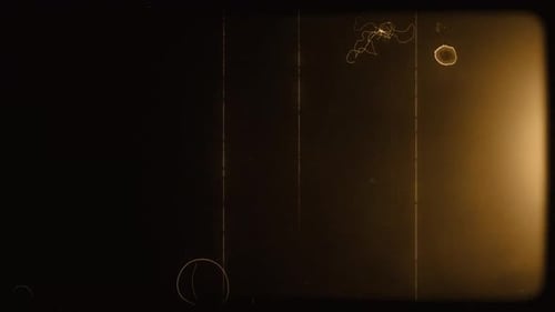 Sepia Film Effect Dust & Noise Wipe