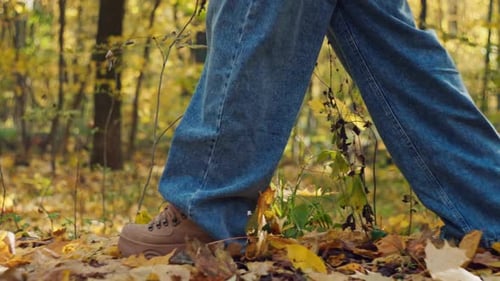 Legs Walking Through Colorful Autumn Leaves