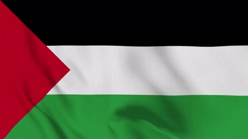 Realistic Waving Palestine Flag Seamless Loop Animation