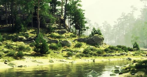 Lush Green Forest By a Tranquil Riverbank in Bright Daylight