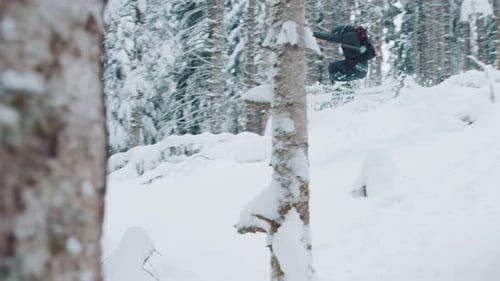 man doing a slow-motion jump on skis in deep powder snow in a tall pine forest