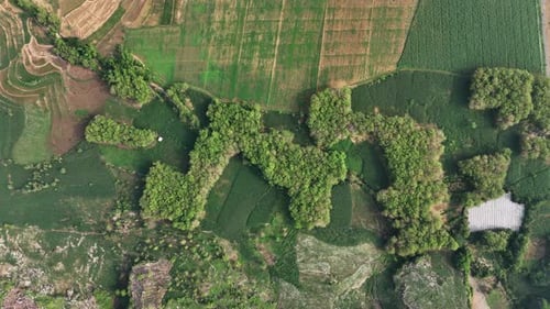 Drone view from top of natural green field