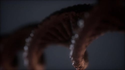 Loop Double Helical Structure of Dna Strand Closeup Animation