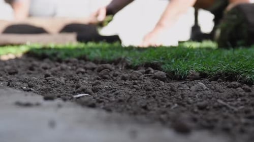 Man laying out a pool of turf in the garden.