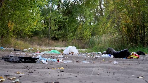 Environmental Pollution Caused by Littering in a Natural Area
