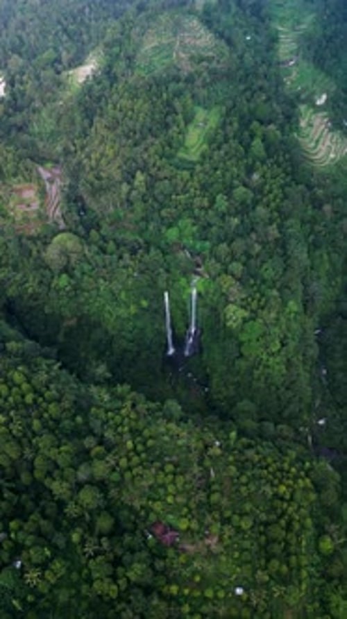 Waterfall Top View Jungle Sekumpul Waterfall Drone