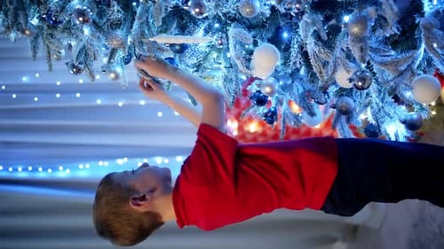 Young Boy Decorating Christmas Tree at Home