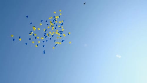 Colorful Balloons Soaring High in the Clear Blue Sky