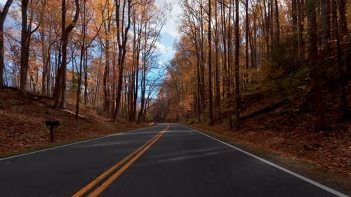 POV From a Moving Car Driving Along a Scenic Rural Road Surrounded By Colorful Autumn Forest Trees