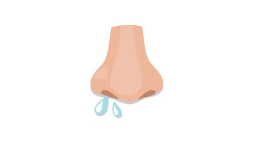 Runny Nose Symptom Animation in Flat Design