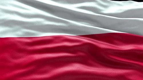 Realistic Poland Flag Waving Seamless Loop Motion Background